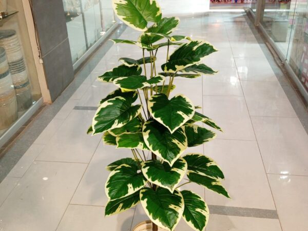 Home Decor Corner Big Plant With Fibre Pot 5ft Height With Stone