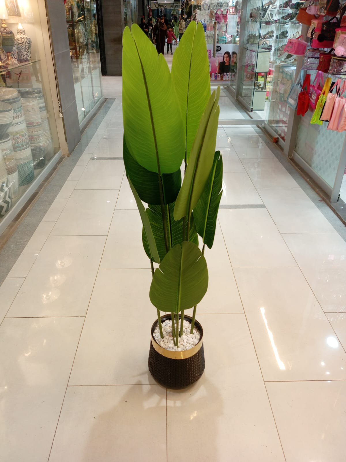 2026/02/1009347350.jpg Home Decor Corner Big Plant With Fibre Pot 5ft Height With Stone - Image 1